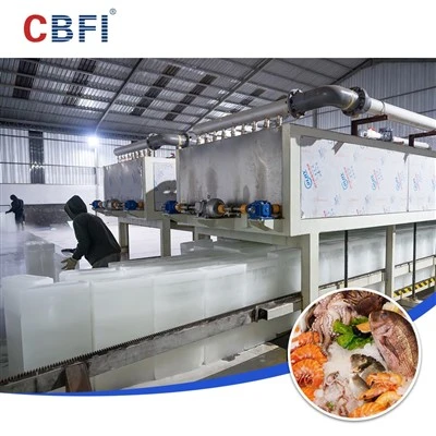 Nhà máy sản xuất đá làm mát trực tiếp CBFI 30 T/D